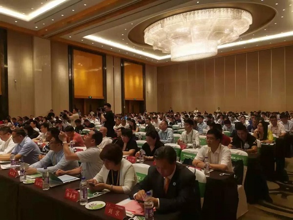 杭叉集团助力中国冷链运输发展(图1)